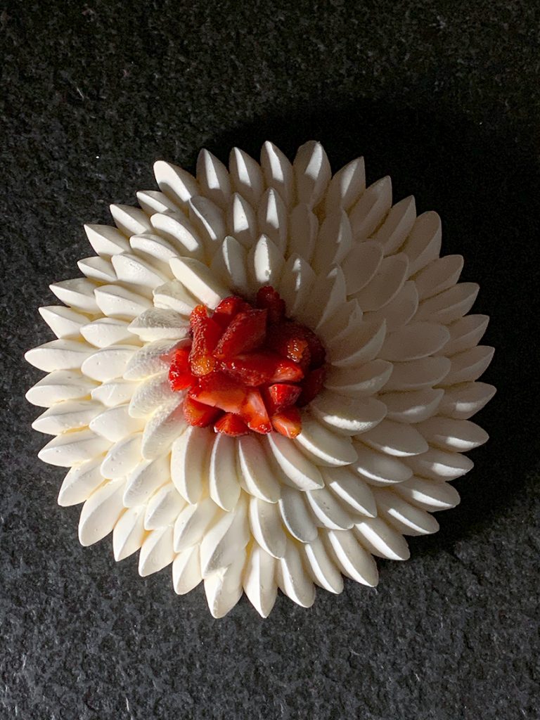 pavlova